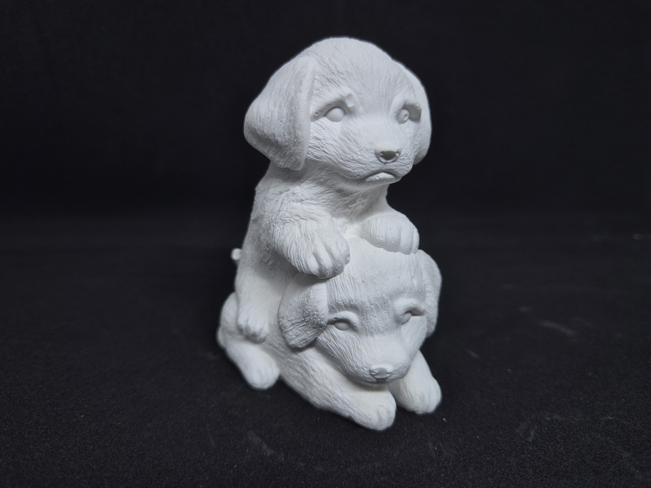 Две кученца