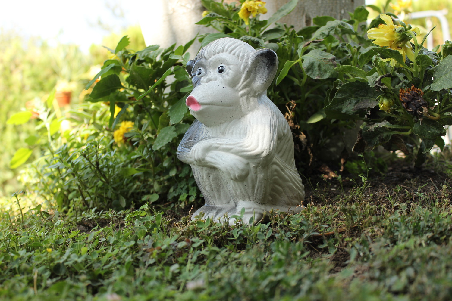 Маймуна черно-бяла