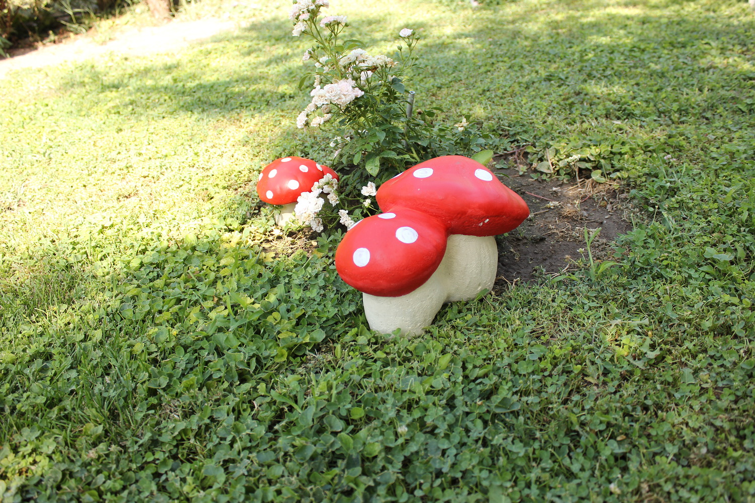 Малка гъбка