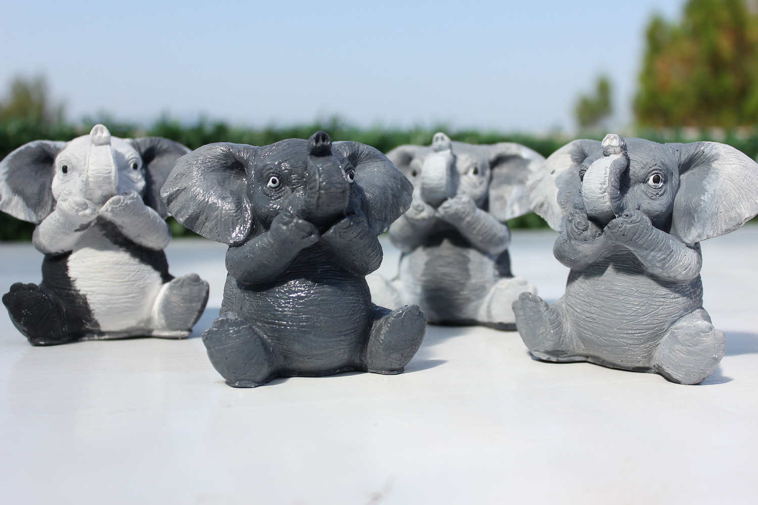 Слонче сиво